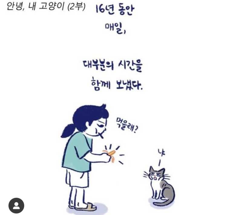 반려동물을 떠나보낸다는 것 | 인스티즈