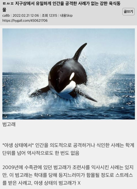 지구상에서 유일하게 인간을 공격한 사례가 없는 강한 육식동물 | 인스티즈