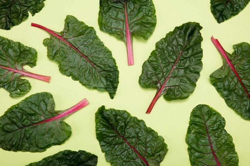 샐러드에 많이 들어가는데 은근 싫어하는 사람 있는 채소 | 인스티즈