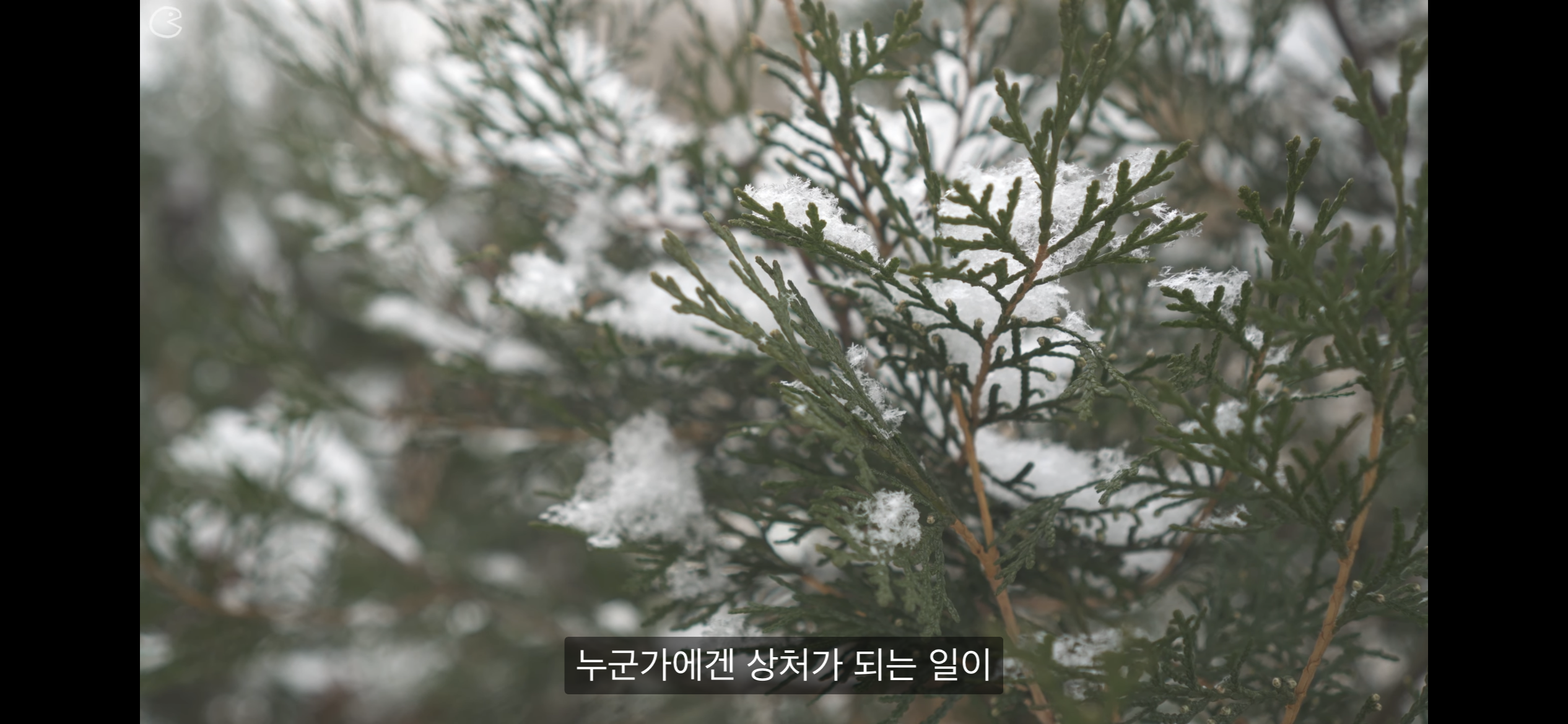 리틀포레스트 감성의 요리 유튜브 | 인스티즈