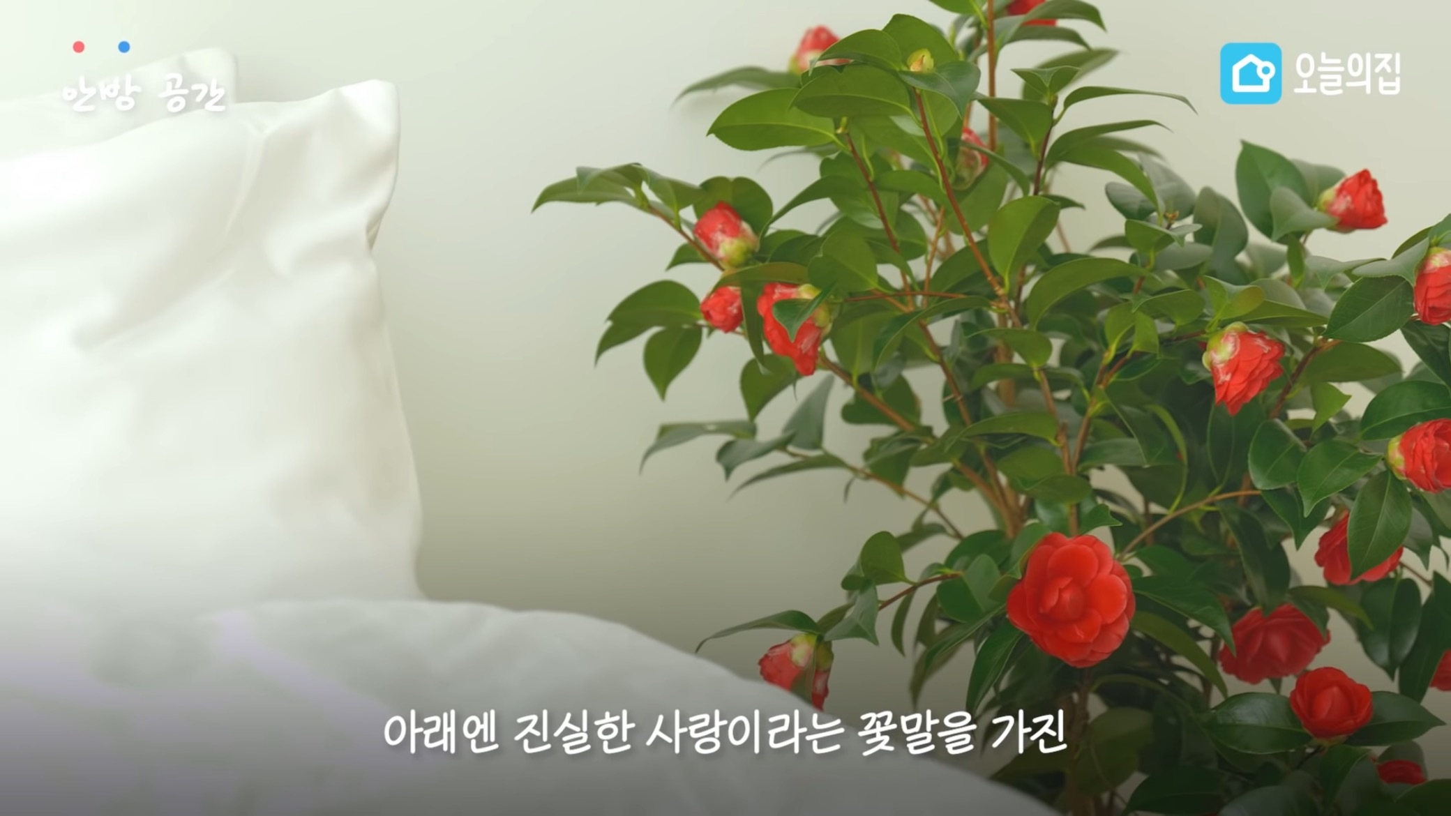 컨테이너에서 살고있는 독립유공자 후손 집 바꿔드리기.jpg | 인스티즈