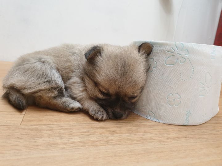 (공지라니... ++추가)새로생긴 회사 복지.. 미쳐서 도저히 일을 못하겠네.. (추가....)++추가 | 인스티즈