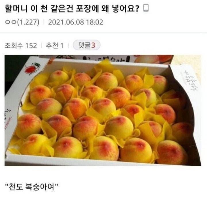 복숭아 사이에 천을 끼워서 파는 이유.jpg | 인스티즈