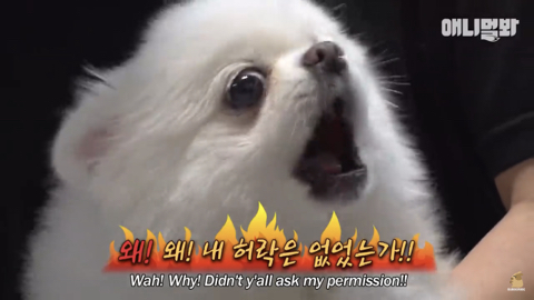 밤낮없이 집 도어락을 누르는 누군가때문에 고민인 부부 | 인스티즈