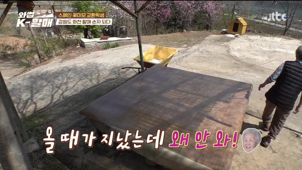 [와썹k할매] 외국인에게 제대로 플렉스하며 챙겨주는 k-할매 | 인스티즈