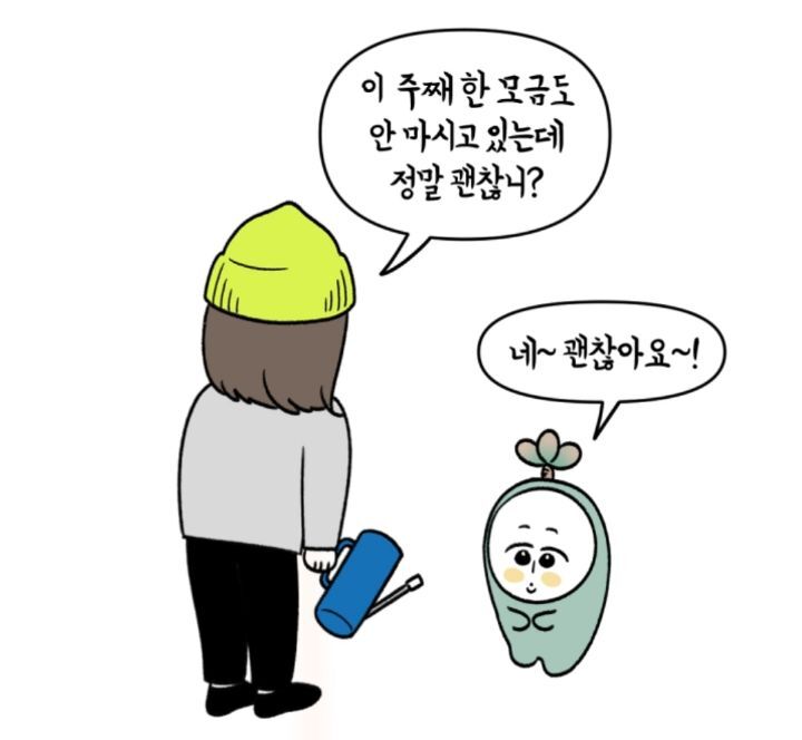 다육이 키우는 초보자들이 제일 많이 하는 실수 | 인스티즈