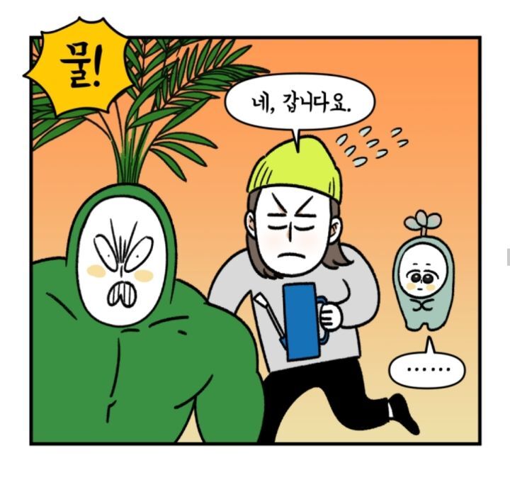 다육이 키우는 초보자들이 제일 많이 하는 실수 | 인스티즈