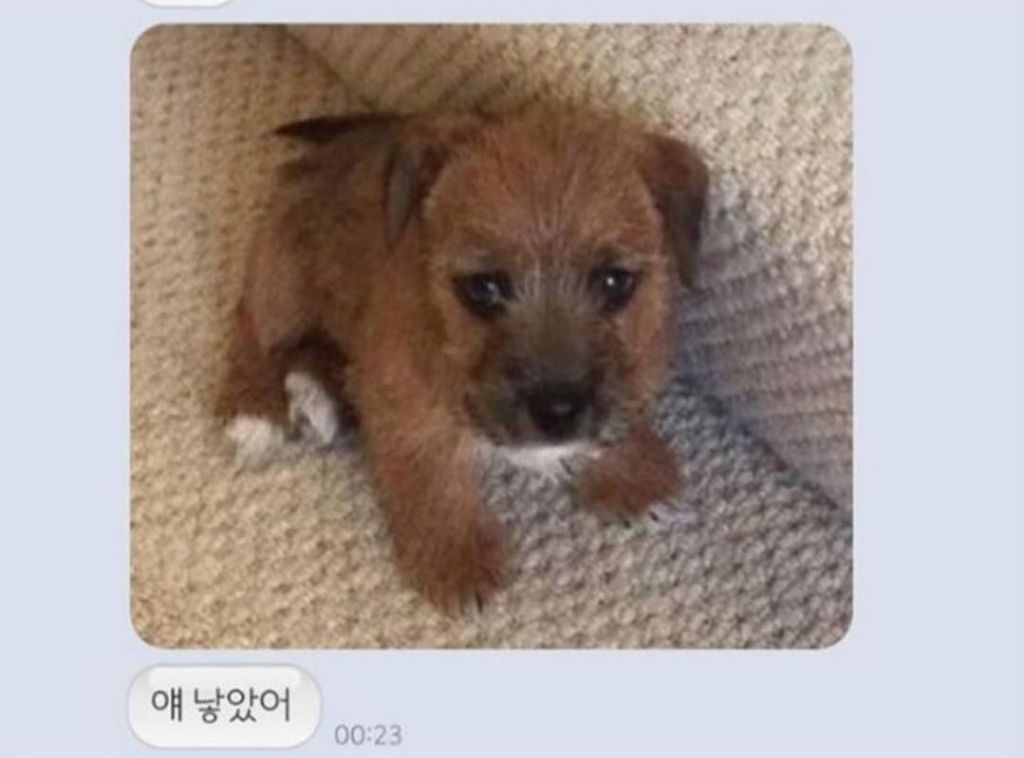 누가봐도 얘가 얘 낳음 | 인스티즈