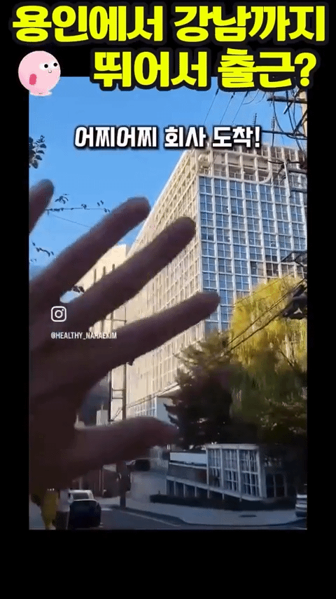 직장인 찐광기 올타임 레전드 | 인스티즈