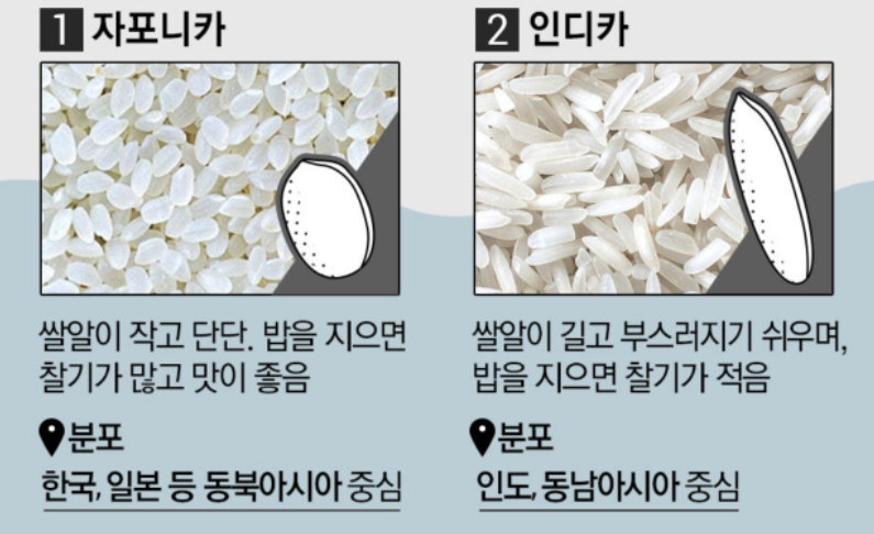 며칠째 트위터에서 핫한 한국 까기 이슈 중 웃겼던 거...twt | 인스티즈