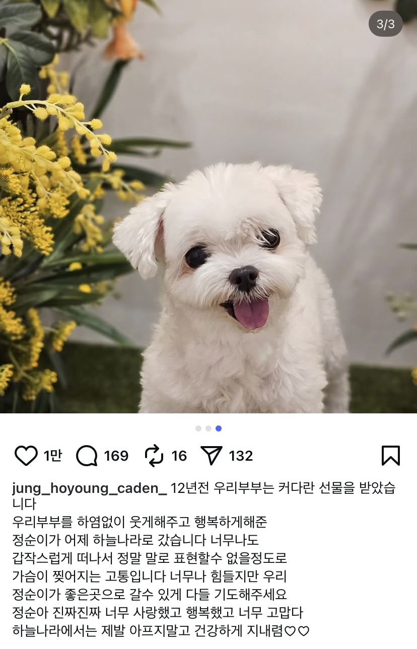 정호영셰프가 눈물을 흘리면서 21km를 완주한 이유 | 인스티즈