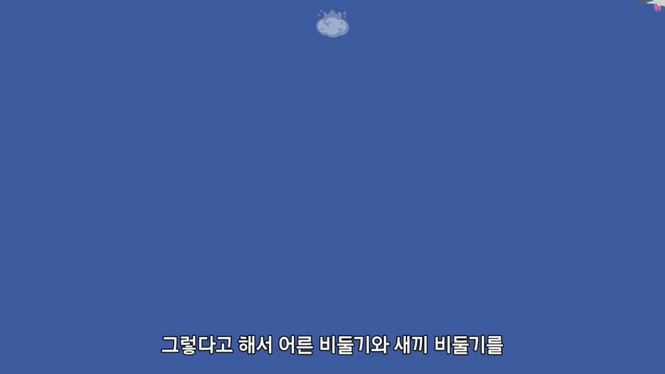 거리에 비둘기가 이렇게 많은데 왜 새끼 비둘기는 안 보일까? | 인스티즈