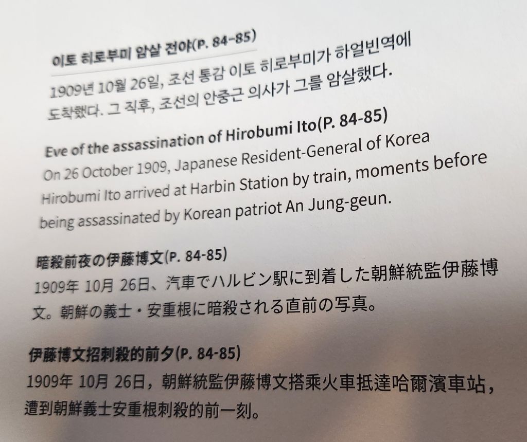 실시간 광복절에 풀린 사진 | 인스티즈