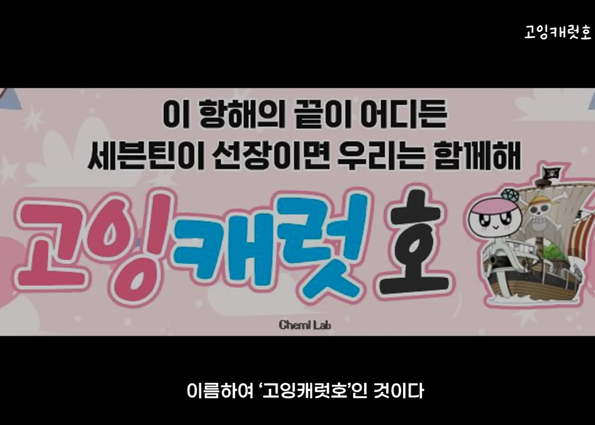 50인승 요트 빌려서 세븐틴 쇼케이스 보러간 팬 브이로그 | 인스티즈