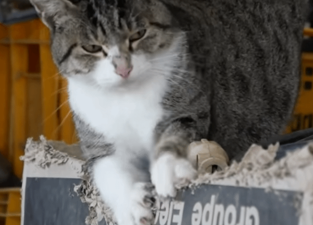 6분만의 독서의 힘.twitter | 인스티즈