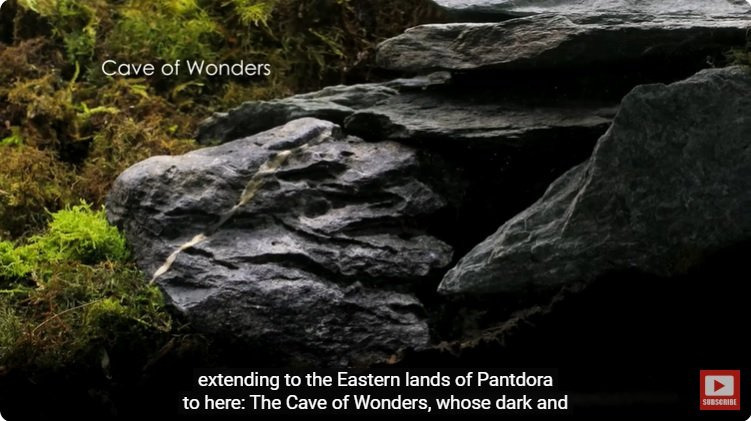 거대한 수조에 열대우림 환경을 조성해놓으면 생기는 일 | 인스티즈