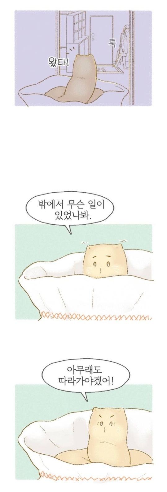 뜨개방에서 털실을 받아왔는데 실이 움직이는 것 같아요 | 인스티즈
