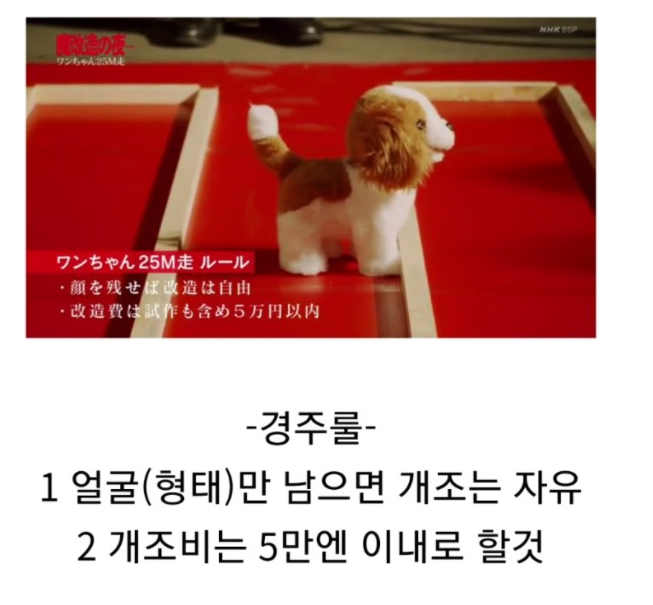 마개조의밤 강아지 완구를 개조하는 일본 자동차 엔지니어들 | 인스티즈