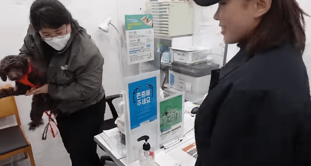 드디어 강아지 입양한 가비.youtube | 인스티즈