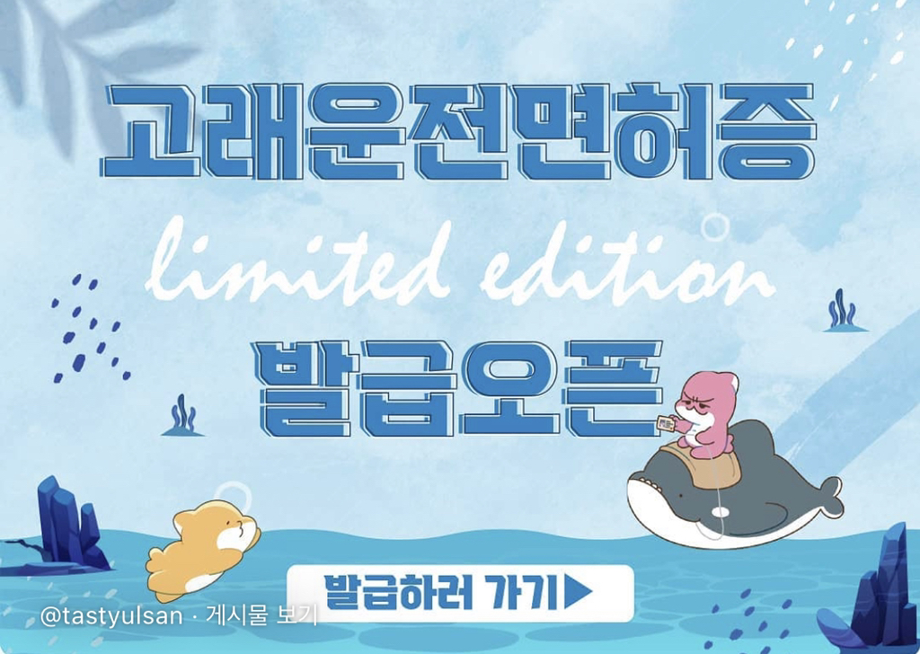 노잼도시 탈출을 위한 울산 고래운전면허증.jpg | 인스티즈