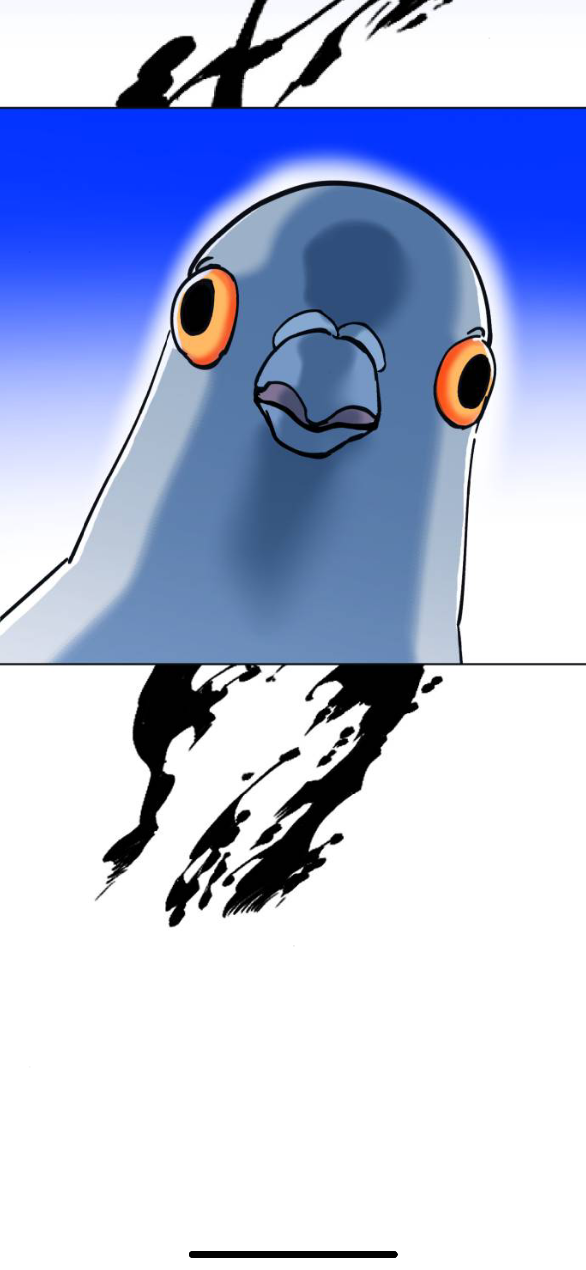 아니 내가 살다살다 비둘기를 볼려고 돈을쓰네 | 인스티즈