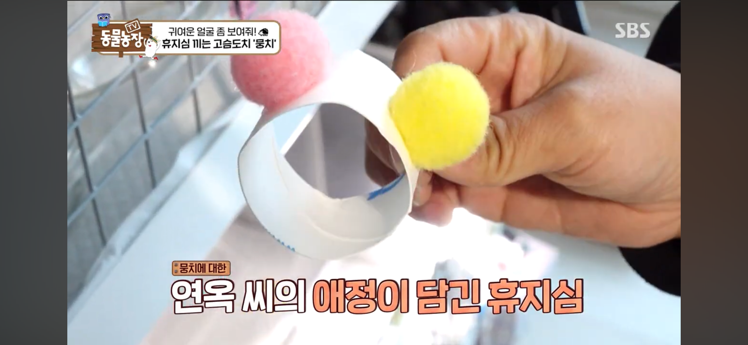 따봉고슴도치 휴지심 좋아도치 | 인스티즈