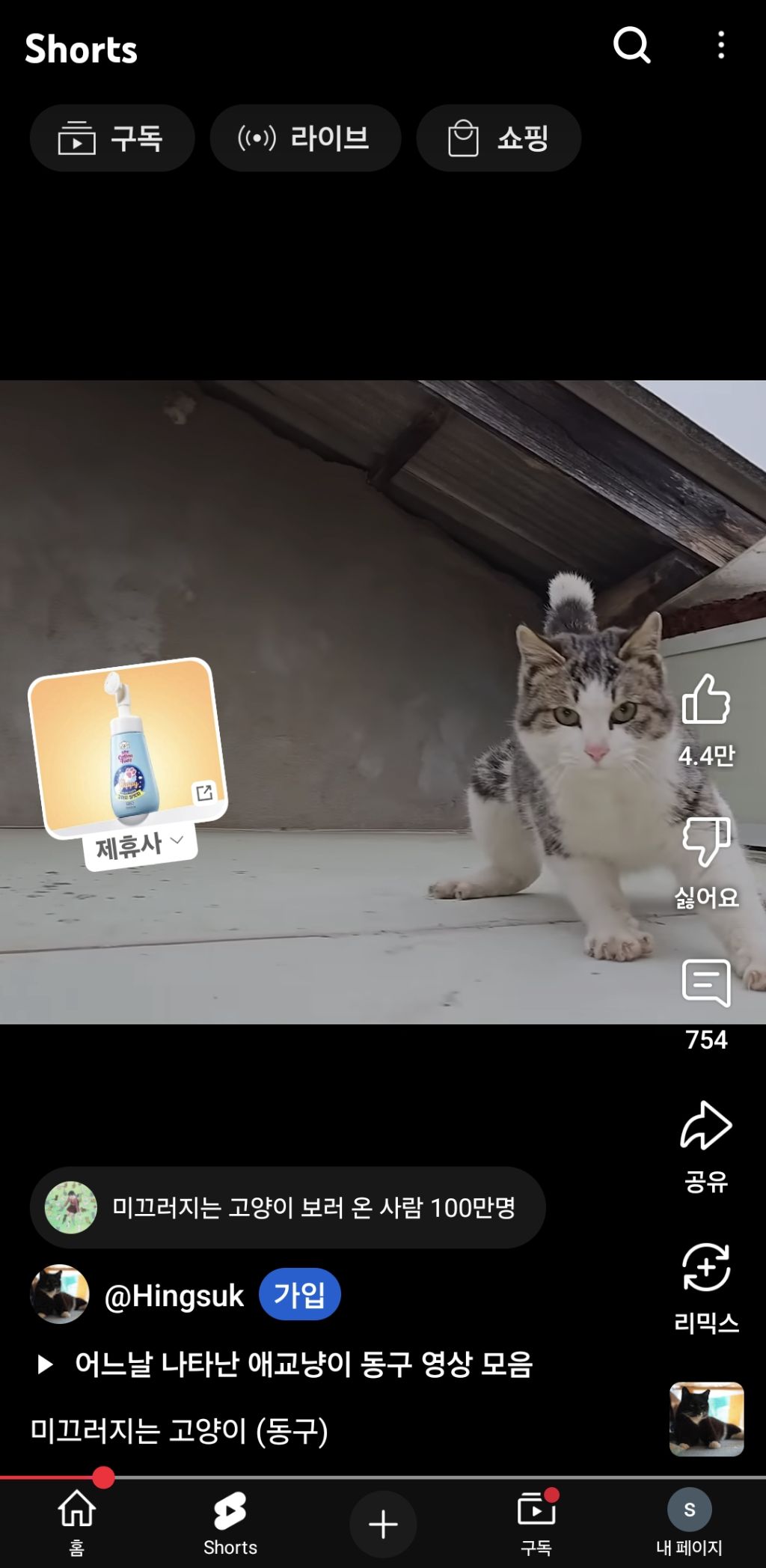 분홍코 야옹이가 미끄러져서 나한테옴ㅇㅇ | 인스티즈