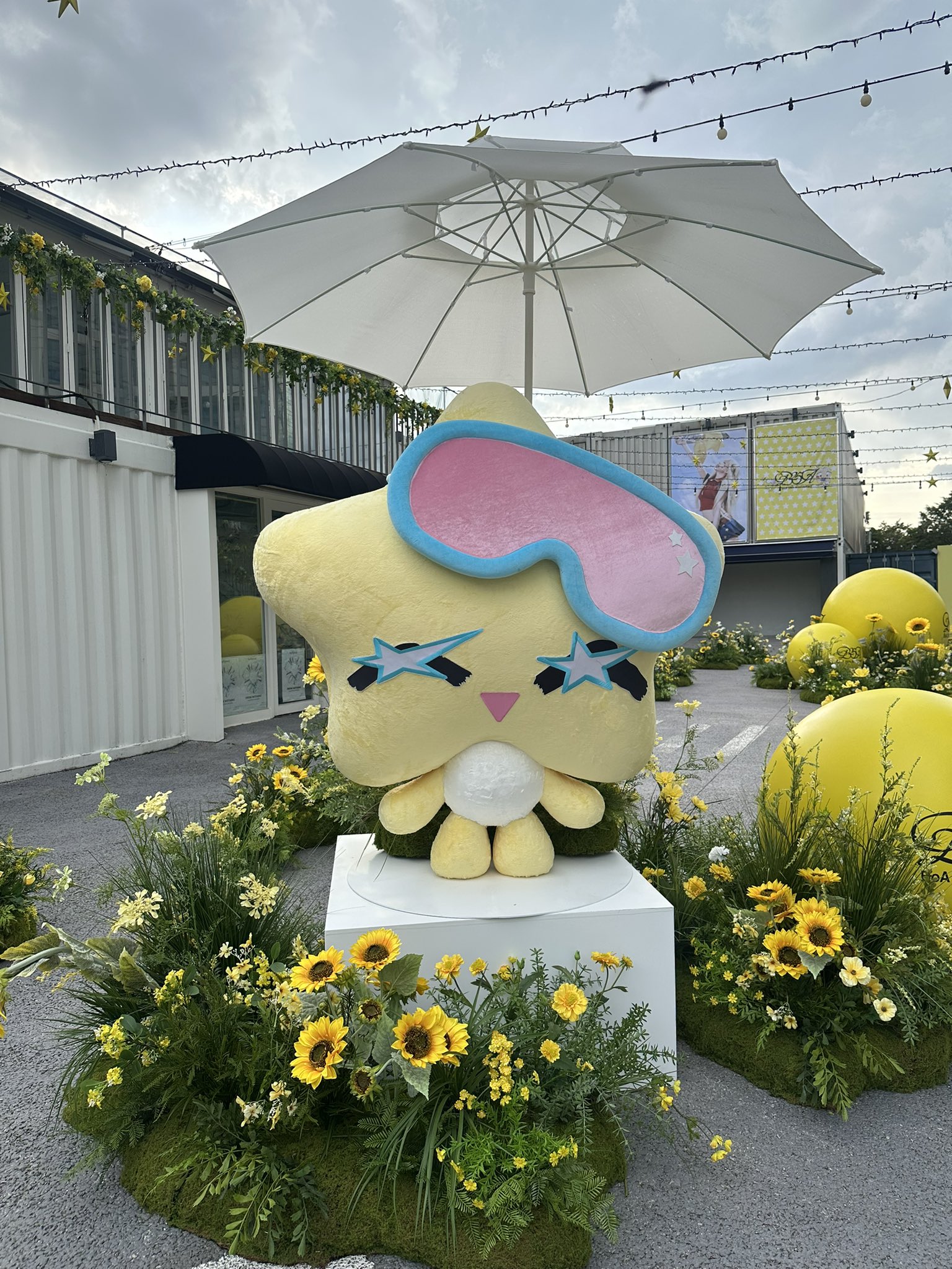 수술 후 처음으로 팬들앞에 나타난 오늘자 보아 근황 | 인스티즈