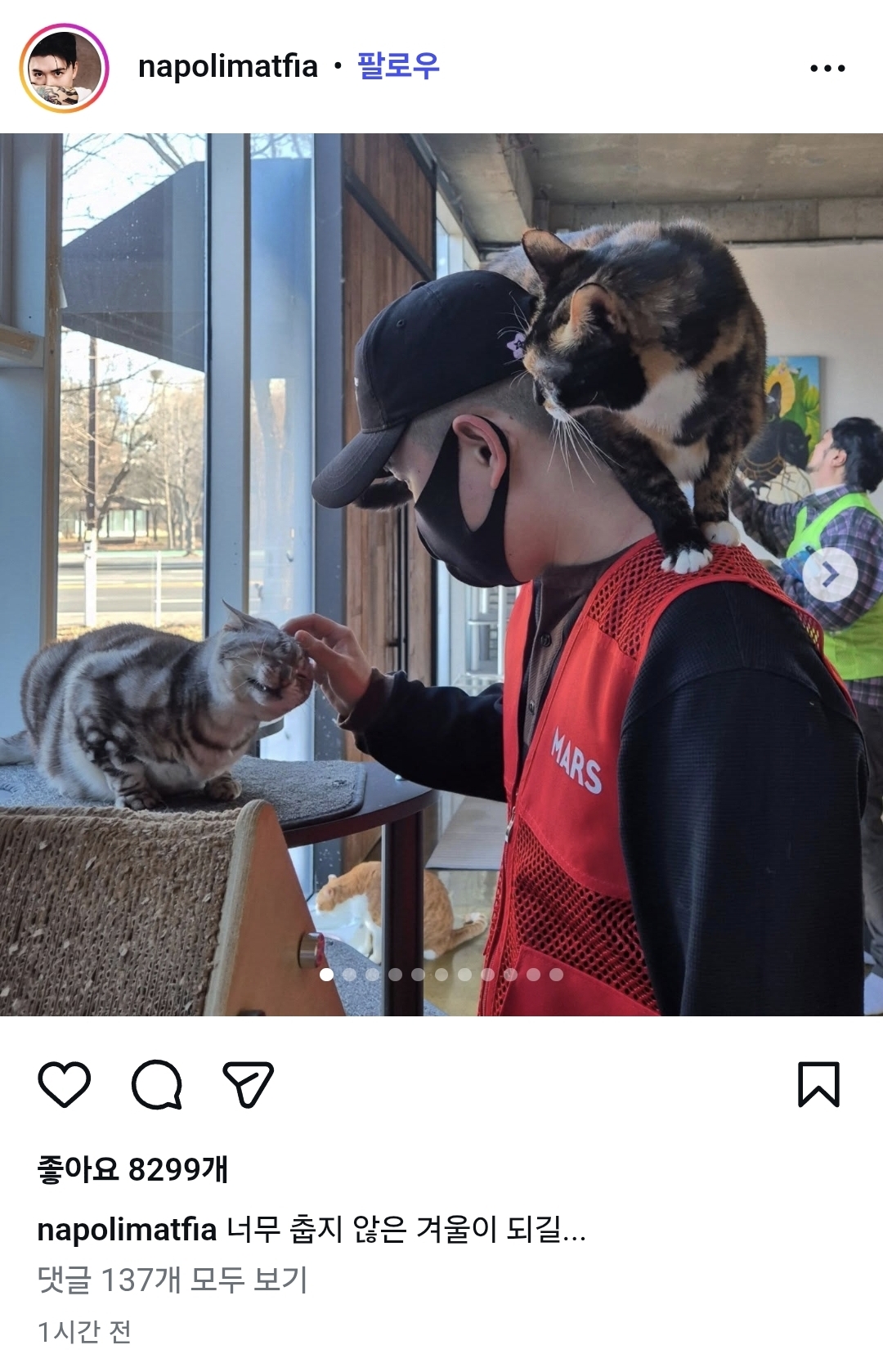 유기묘 보호소에 간식+사료 기부한 나폴리 맛피아 | 인스티즈