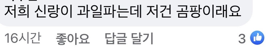 이거 아보카도 후숙이 오래 된거라는데..괜찮은건가요? | 인스티즈