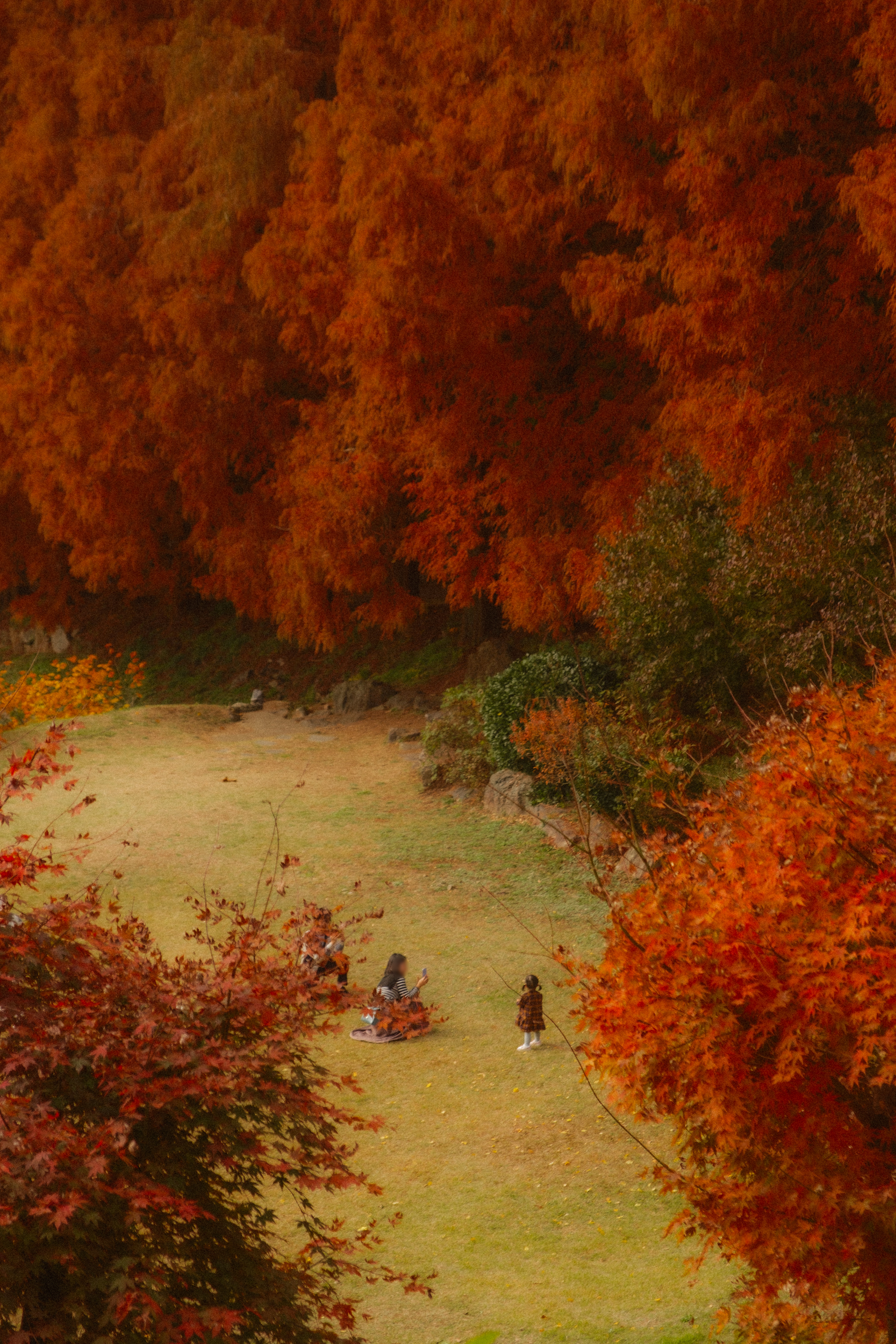 어제 담아온 가을 🍂 | 인스티즈