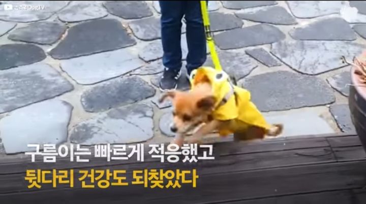 운전하다 댕줍하신 어느 운전자분 사연...ㅠㅠ | 인스티즈