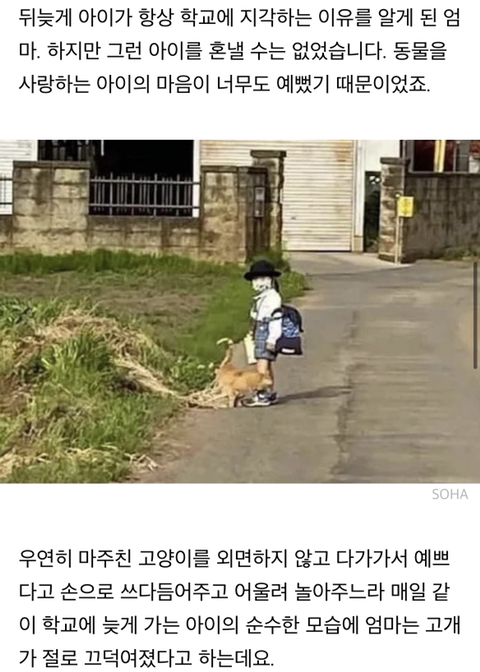 학교에 매일 같이 지각한다는 선생님 말에 등교하는 아들 뒤따라갔던 엄마가 마주한 상황 | 인스티즈