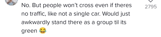 횡단보도에서 차도 없는데 초록불로 바뀔 때까지 기다린다고...??? | 인스티즈