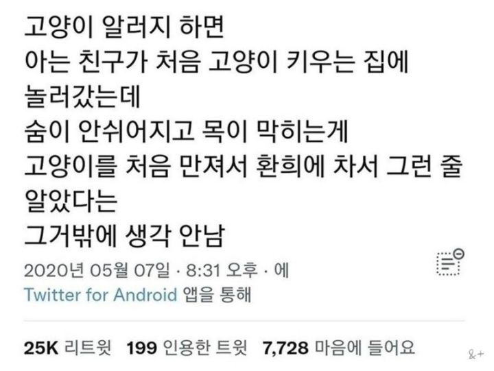 고양이 알러지가 있는 친구 | 인스티즈