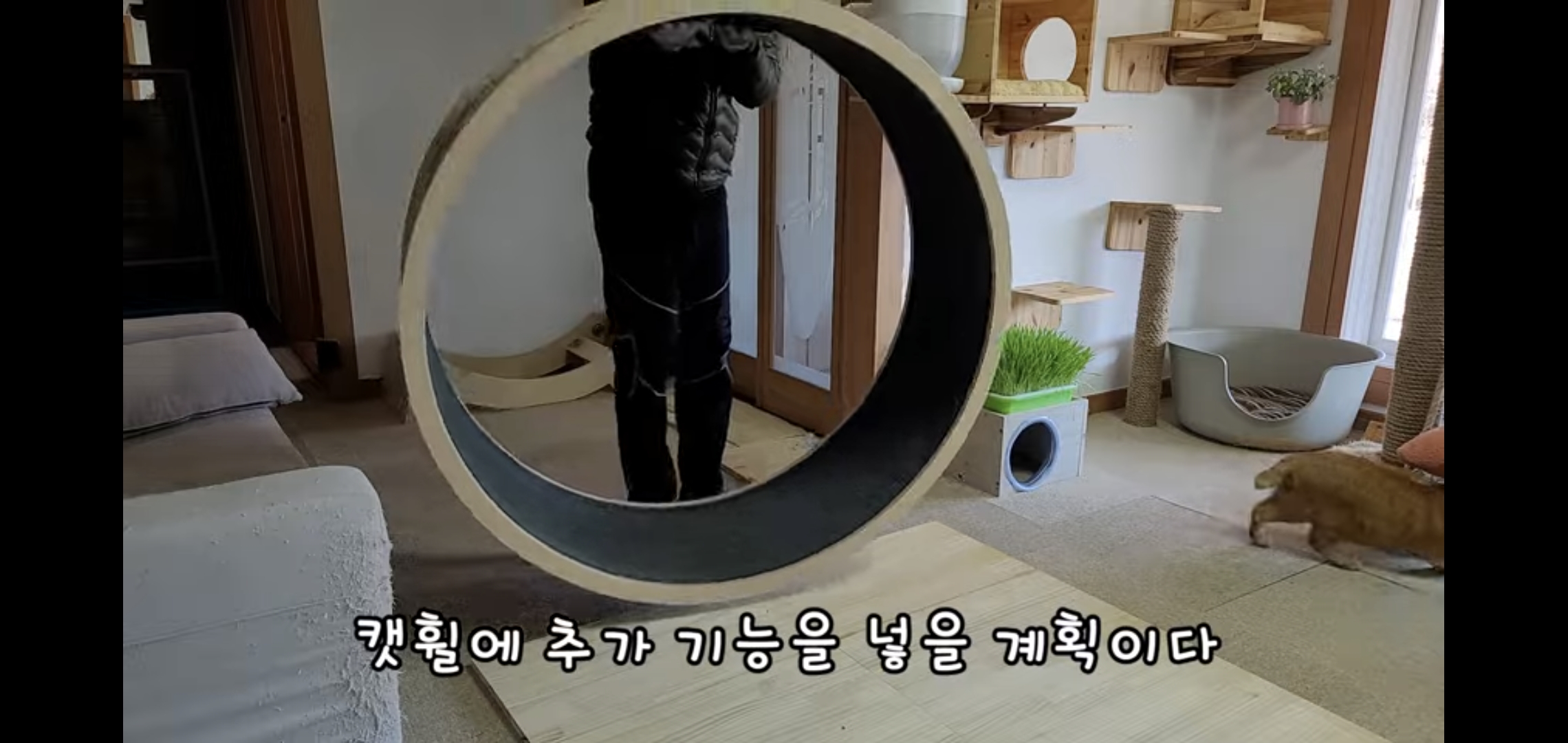 해괴한 고양이 장난감을 만들어낸 오늘자 매탈남.. jpg | 인스티즈