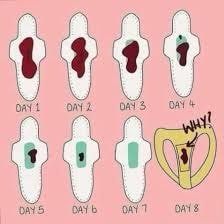 여자들한테 생리보다 사실 더 빡치는 것.jpg | 인스티즈