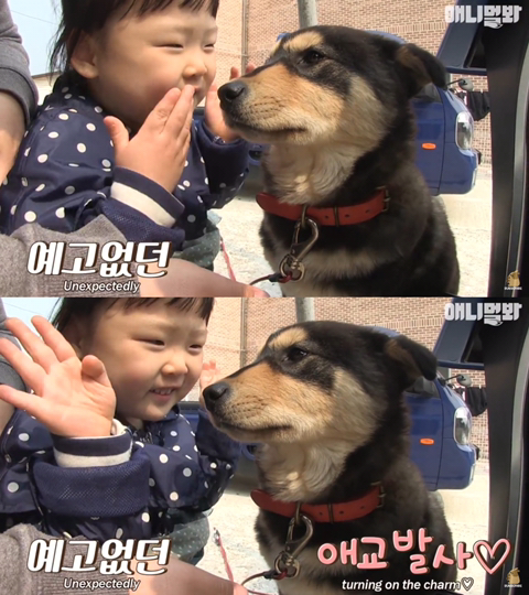 섬마을 남매가 강아지를 환영하는 완벽한 방법 | 인스티즈