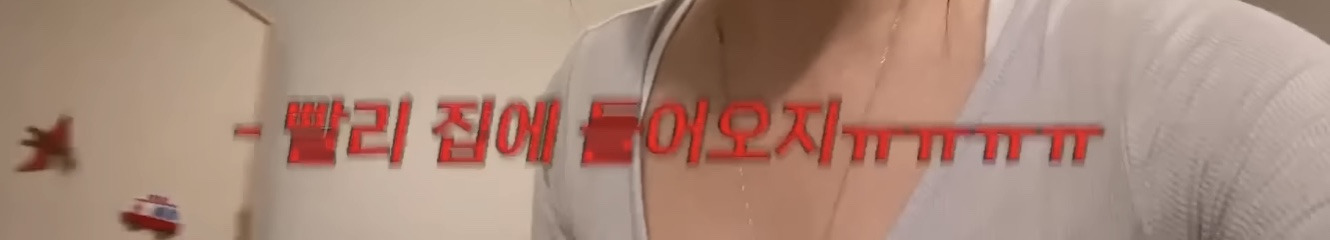 미국 이민갔는데 집에서 곰 나옴… | 인스티즈