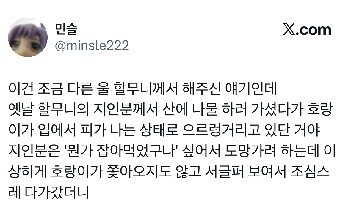 전래동화 같은 호랑이 이야기 트위터 모음.twt | 인스티즈