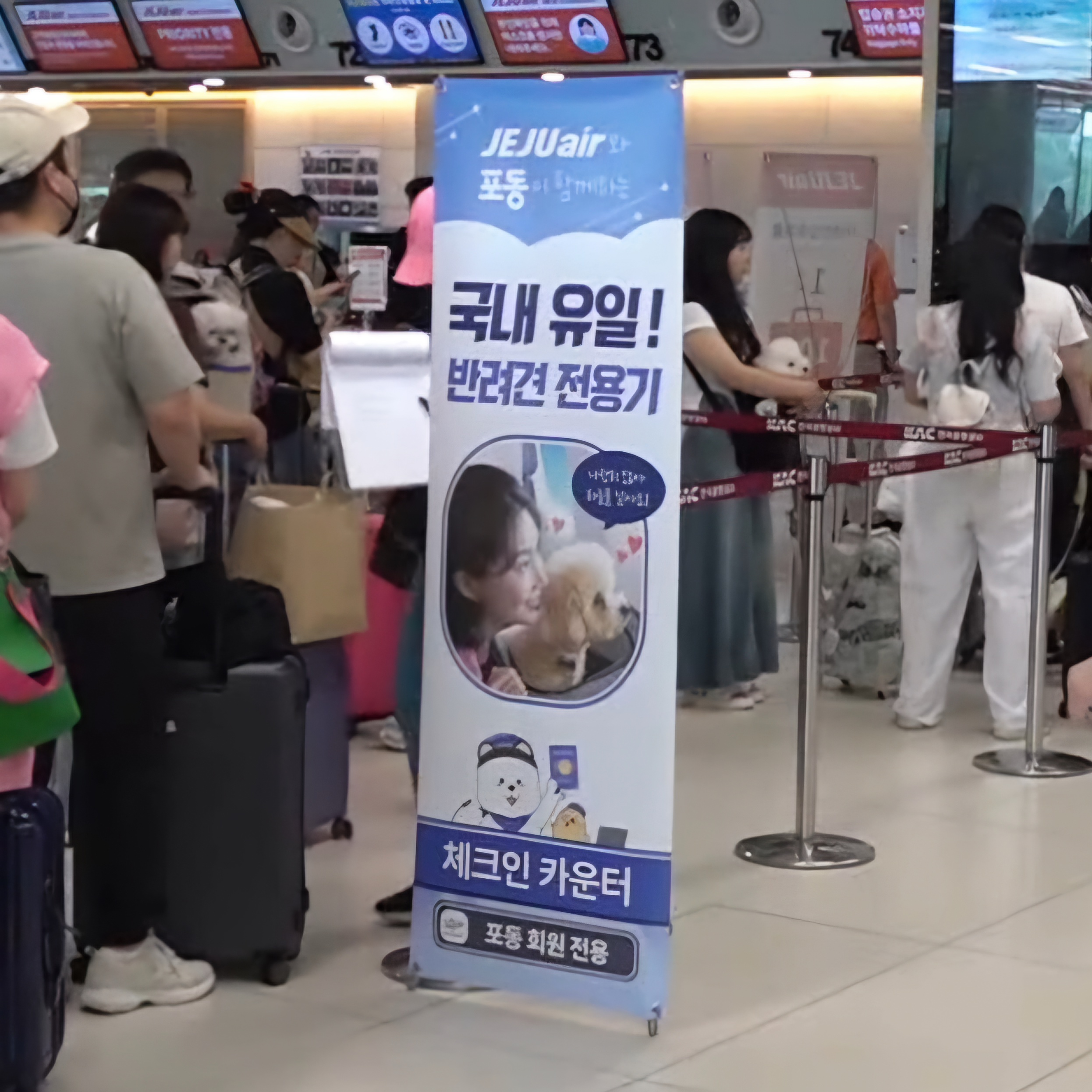 제주도 왕복 비행기 75만원인데 좌석 완판된 이유.jpg | 인스티즈