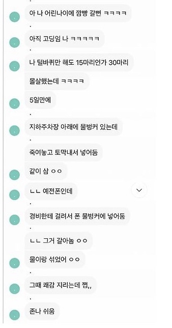 디씨인사이드 야옹이 갤러리 역대만행정리 (잔인함 주의) 사진 | 인스티즈