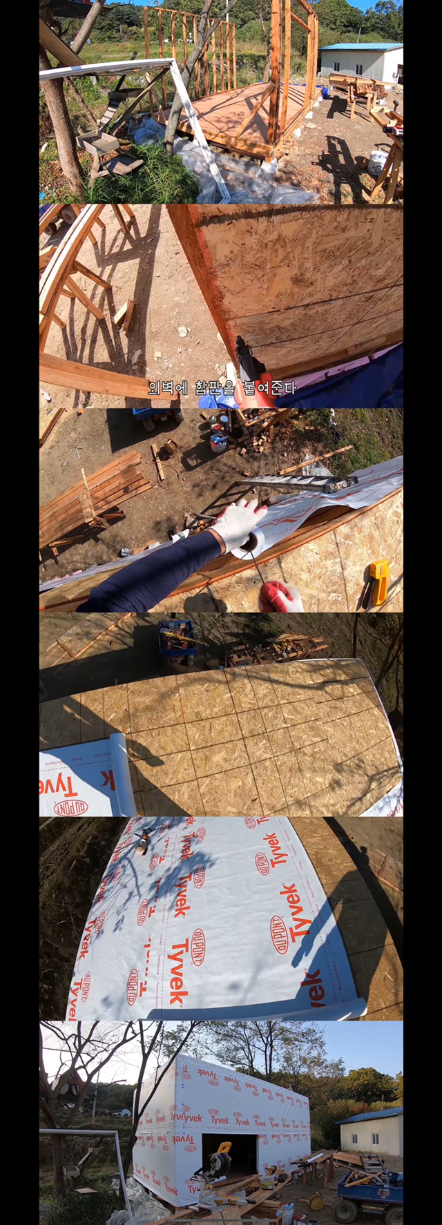 고양이 유튜버 haha ha 진심 재능 미친것같은 달글 | 인스티즈