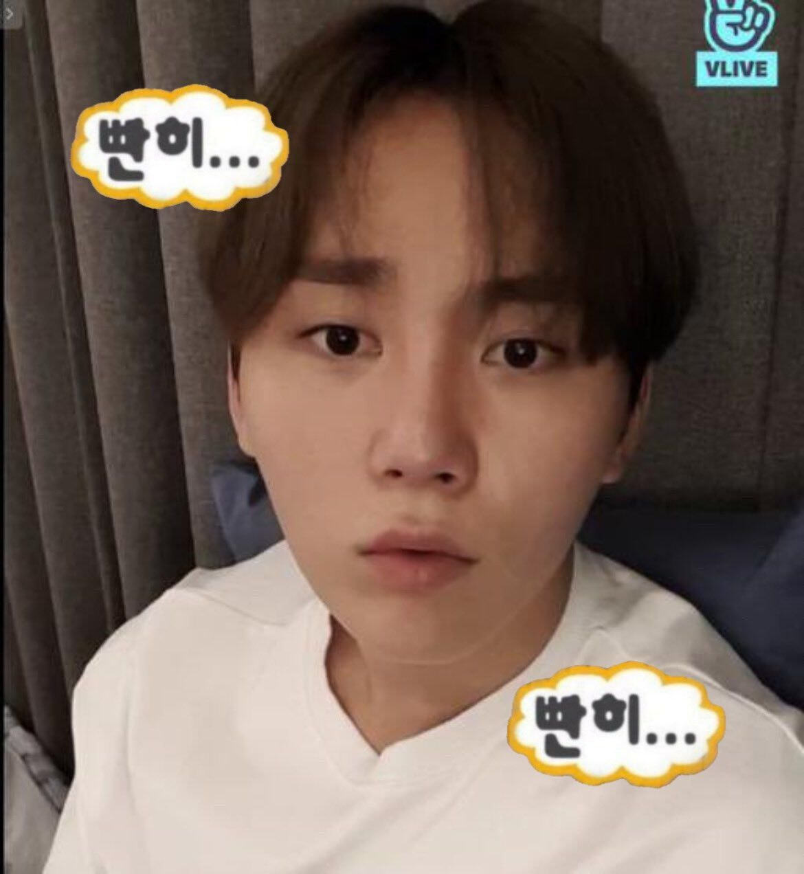 최근 트위터 아이돌팬들 사이에서 유행한 합성.twt - 악플달면 쩌리쩌려버려 - ＊여성시대＊ 차분한 20대들의 알흠다운 공간