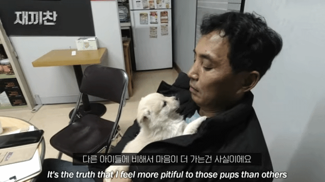 개농장에서 구출됐던 강아지 꽃님이의 버르장머리 없어진 최근 모습 | 인스티즈