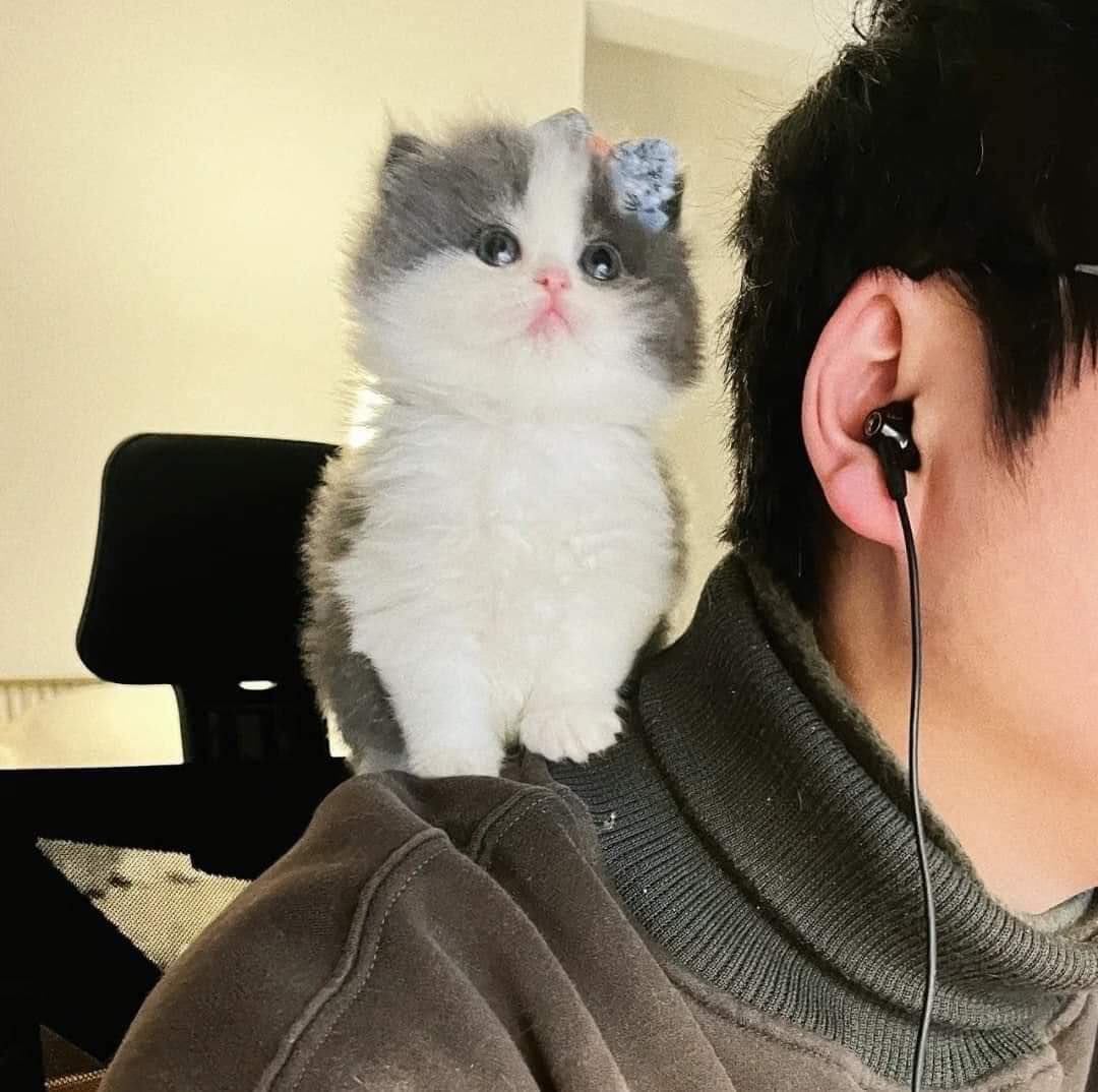 디스코드 하고 있으면 몰래 도청하고 같이 웃음 | 인스티즈