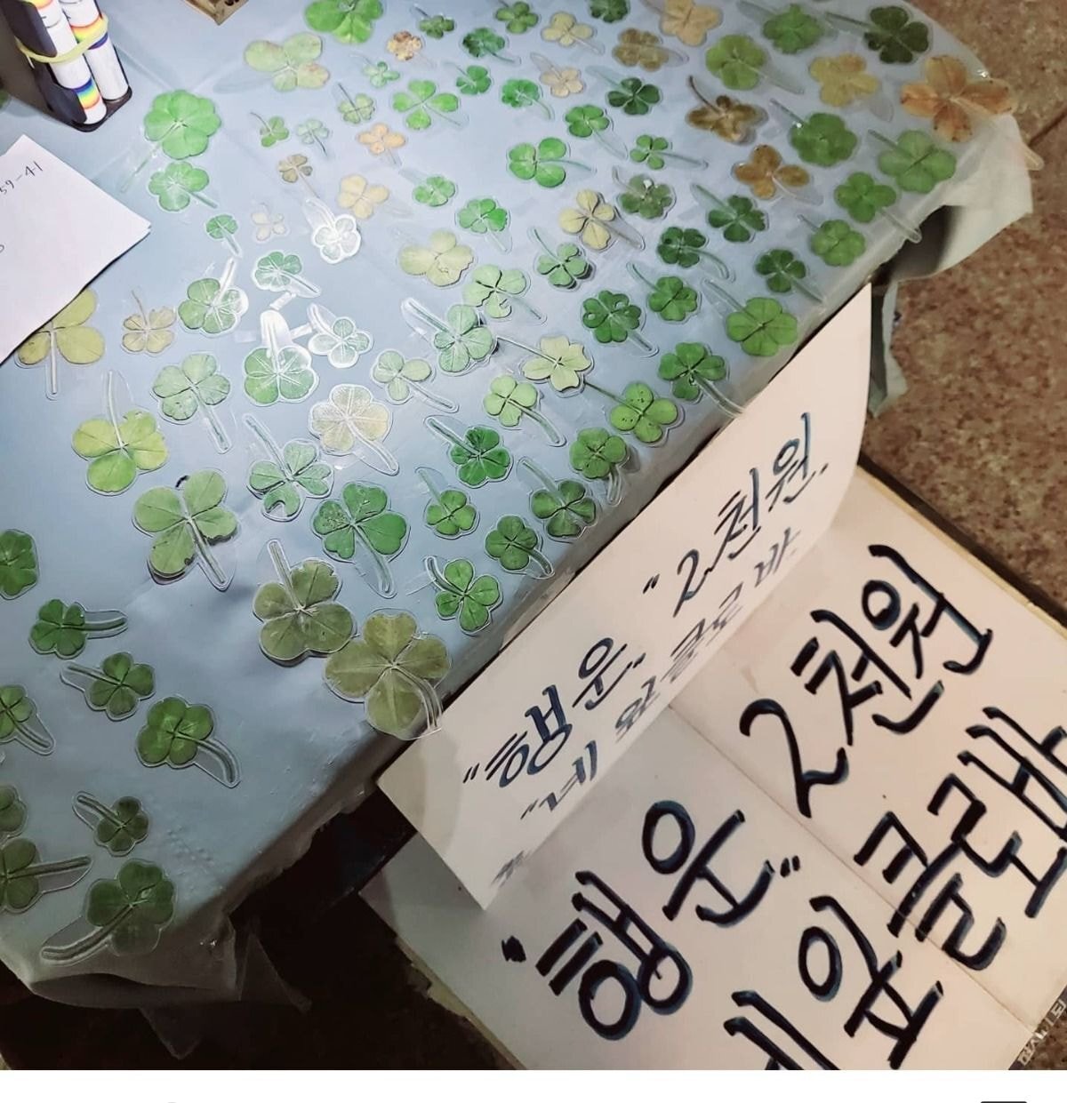 수유역 앞에 가끔 나타난다는 네잎클로버 노점.jpg | 인스티즈