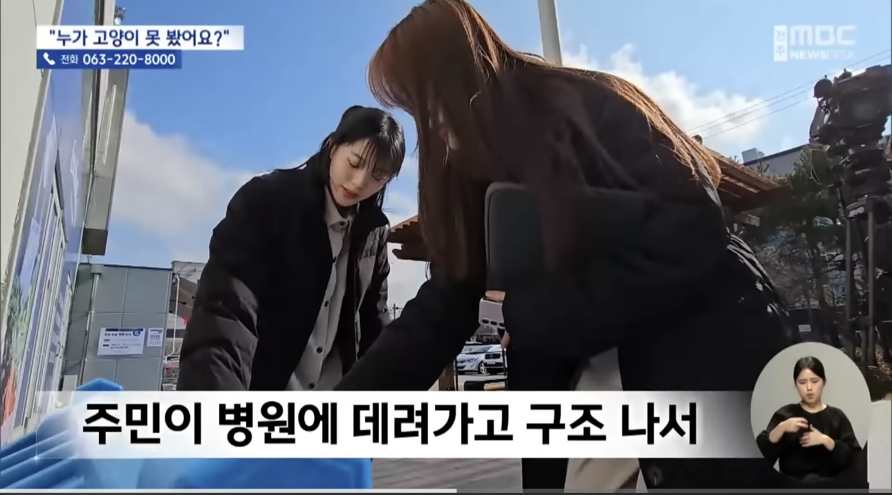 '눈먼 길고양이' 구조작전.. 훈훈한 쪽지 릴레이 | 인스티즈