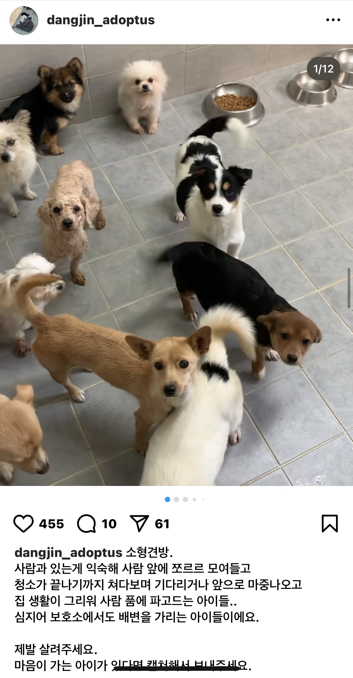 사람을 이렇게나 좋아하는데.. 곧 안락사된대요.... | 인스티즈