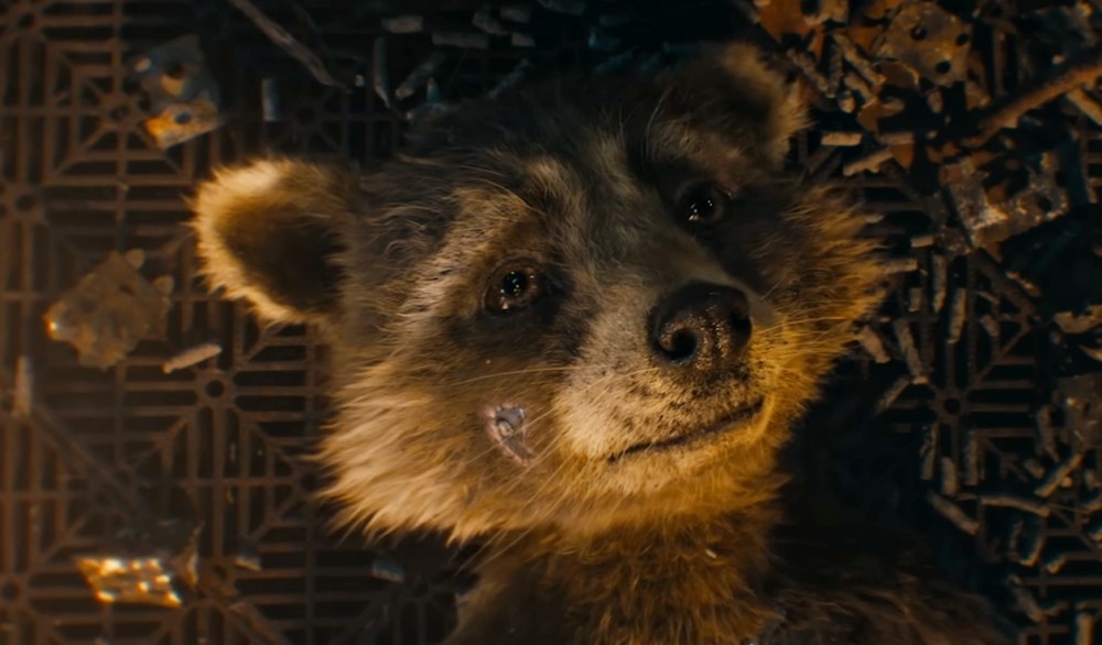 동물애호가들은 눈물 줄줄 흘리고 나오는 이번 가오갤3 | 인스티즈